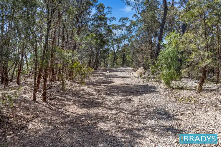 Second view of Homely house listing, 486 Willow Glen Road, Lower Boro NSW 2580