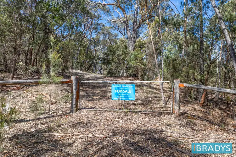 Third view of Homely house listing, 486 Willow Glen Road, Lower Boro NSW 2580