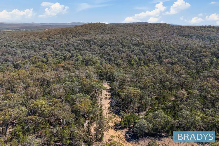 Fourth view of Homely house listing, 486 Willow Glen Road, Lower Boro NSW 2580
