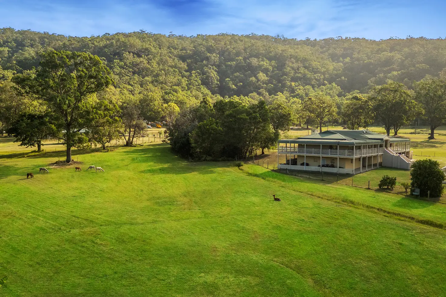 Main view of Homely rural property listing, 499 Singleton Road, Laughtondale NSW 2775