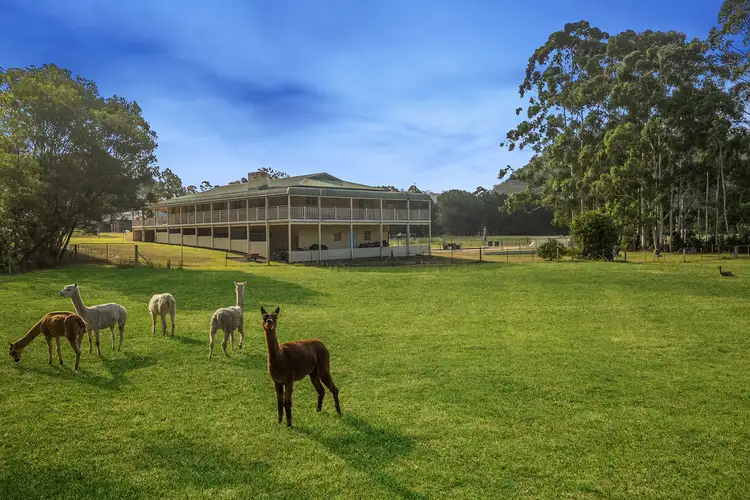 Third view of Homely rural property listing, 499 Singleton Road, Laughtondale NSW 2775