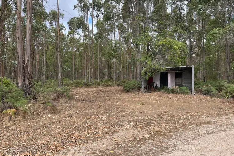 Third view of Homely rural property listing, Lot 12913 Tannin Road, Manjimup WA 6258