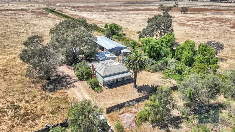 4098 Bendigo - Pyramid Road, Dingee VIC 3571