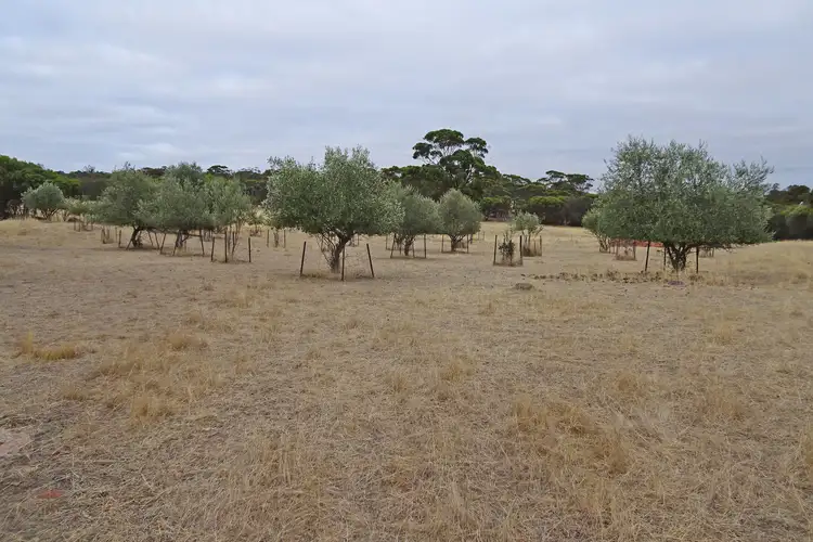 Sixth view of Homely rural property listing, 3733 Williams Kondinin Road, Hillside WA 6312