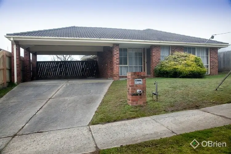 16 Richard Drive, Langwarrin VIC 3910