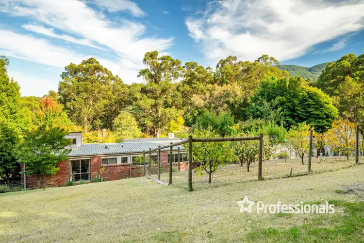 Second view of Homely house listing, 25 Hearse Road, Millgrove VIC 3799