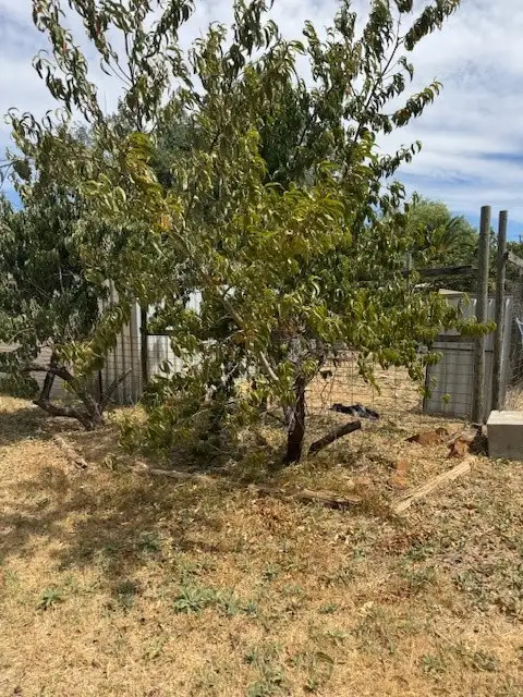 Second view of Homely rural property listing, LOT 2 Peters Lane, Wedderburn VIC 3518