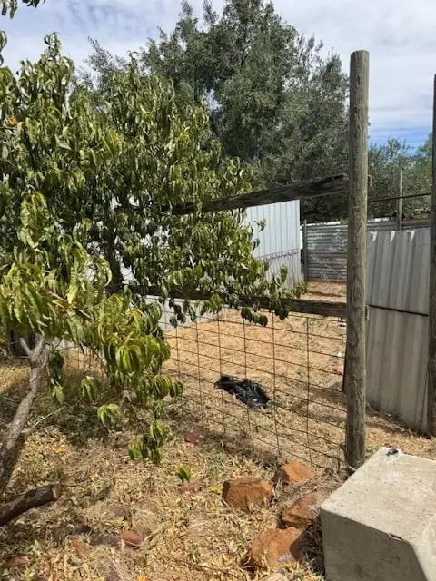 Fourth view of Homely rural property listing, LOT 2 Peters Lane, Wedderburn VIC 3518