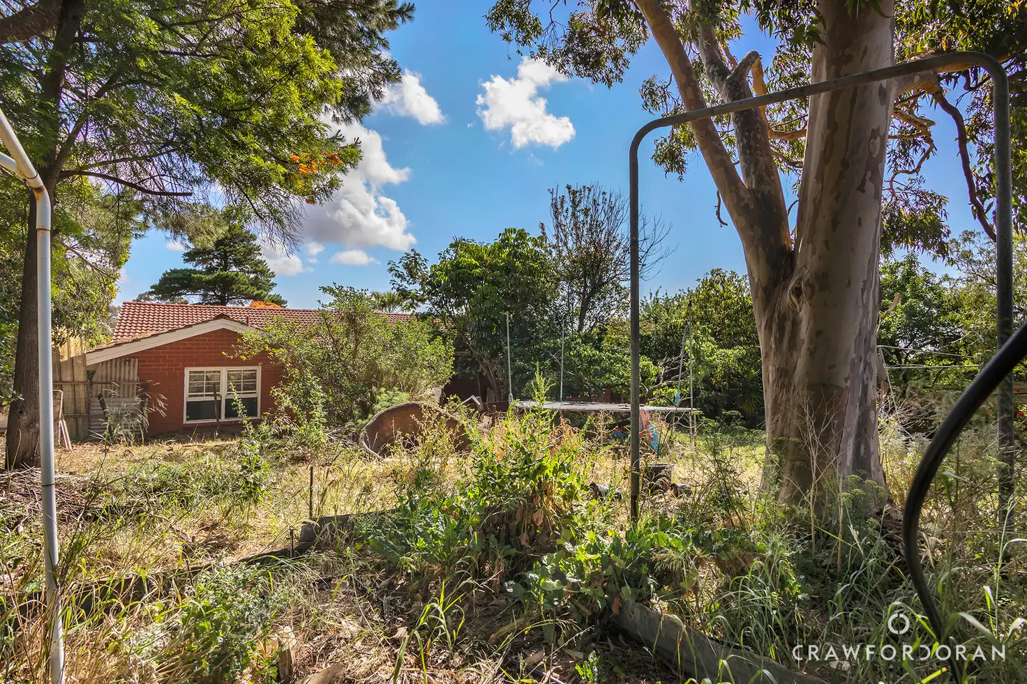 Main view of Homely house listing, 23 Salvador Street, Flagstaff Hill SA 5159