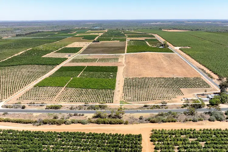 Main view of Homely rural property listing, 183 Quast Road, Loxton SA 5333