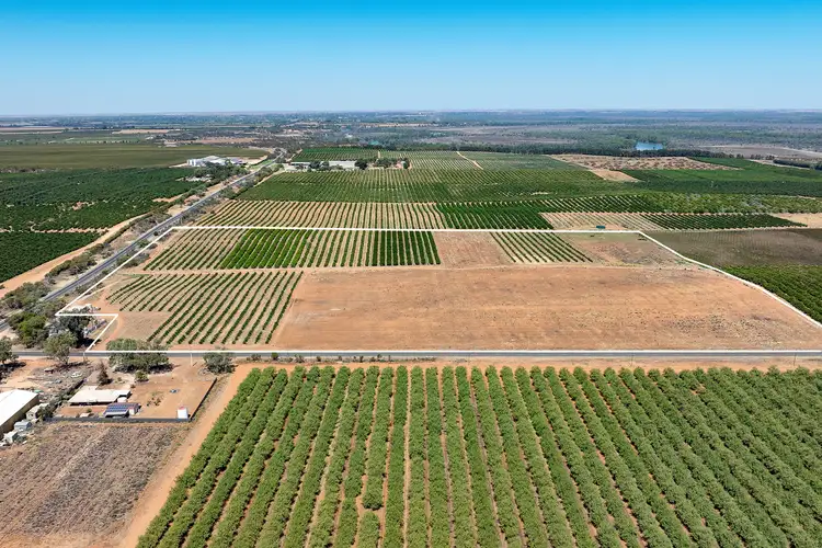 Third view of Homely rural property listing, 183 Quast Road, Loxton SA 5333