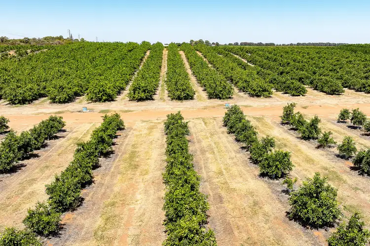 Fourth view of Homely rural property listing, 183 Quast Road, Loxton SA 5333
