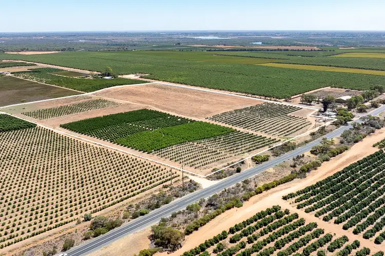 Sixth view of Homely rural property listing, 183 Quast Road, Loxton SA 5333