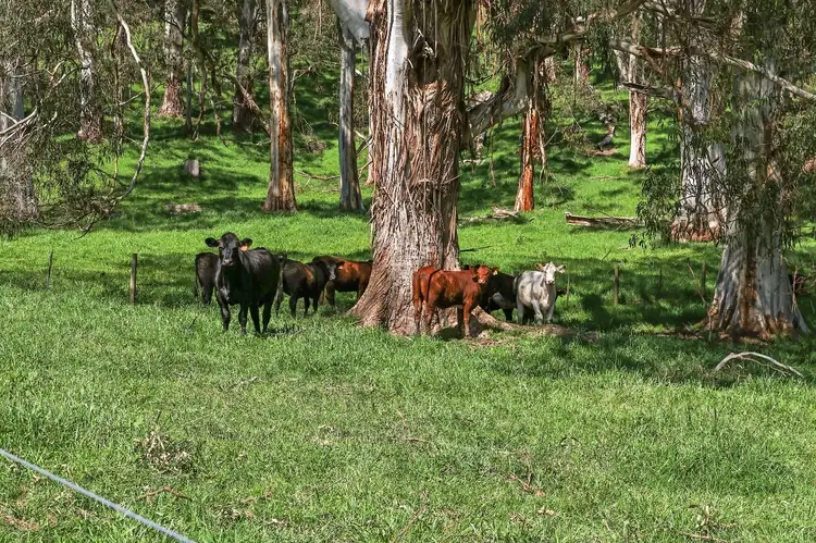 Sixth view of Homely rural property listing, 380 Foster - Mt Best Road, Foster VIC 3960