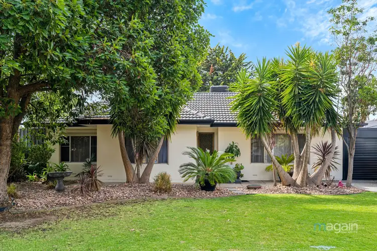 81 Wheatsheaf Road, Morphett Vale SA 5162