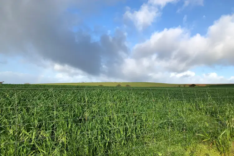 Sixth view of Homely rural property listing, 178 Howards Road, Koppio SA 5607