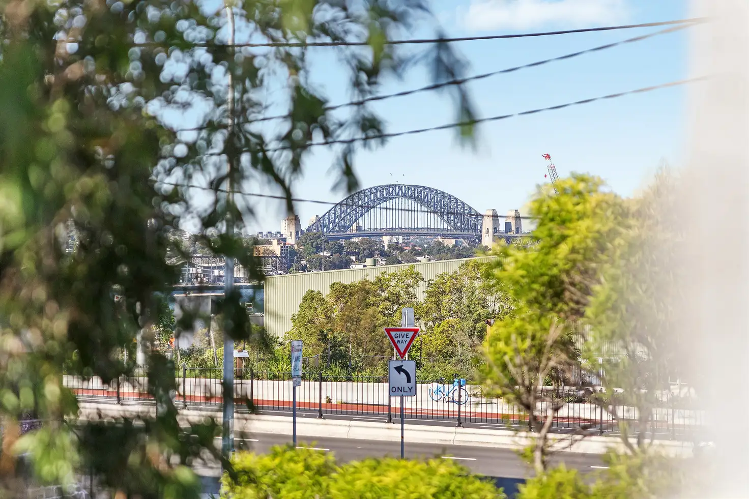 Main view of Homely house listing, 16 Lilyfield Road, Rozelle NSW 2039