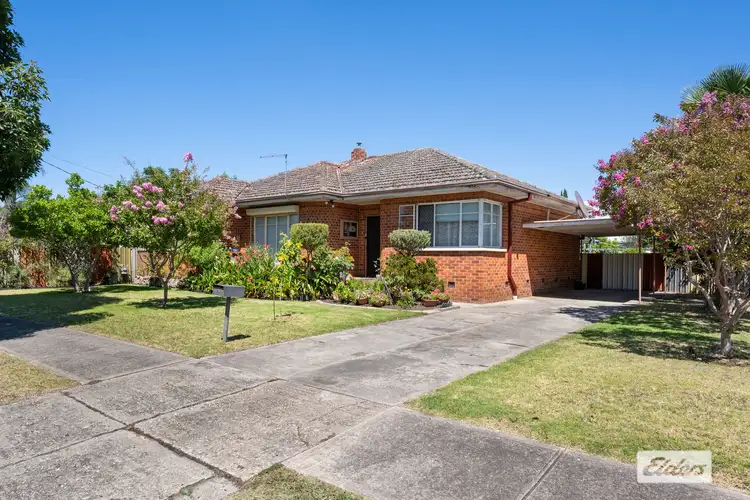 59 William Street, Wodonga VIC 3690