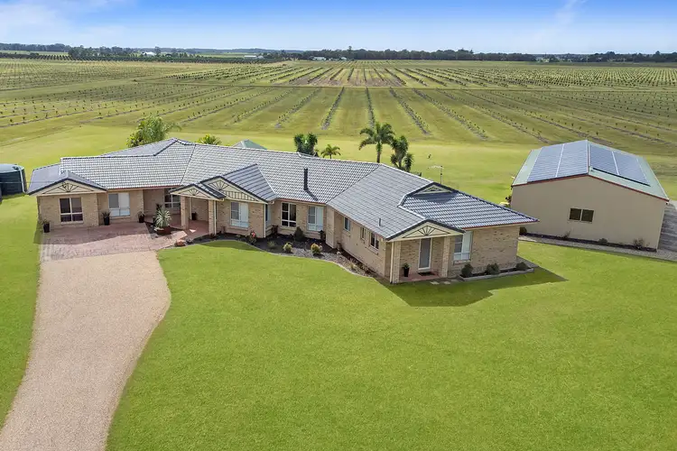 Second view of Homely house listing, 377 Pimlico Road, Pimlico NSW 2478