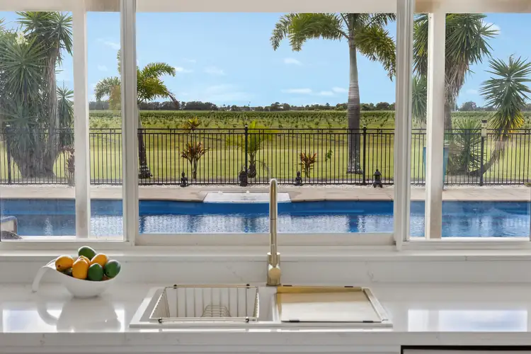 Fourth view of Homely house listing, 377 Pimlico Road, Pimlico NSW 2478