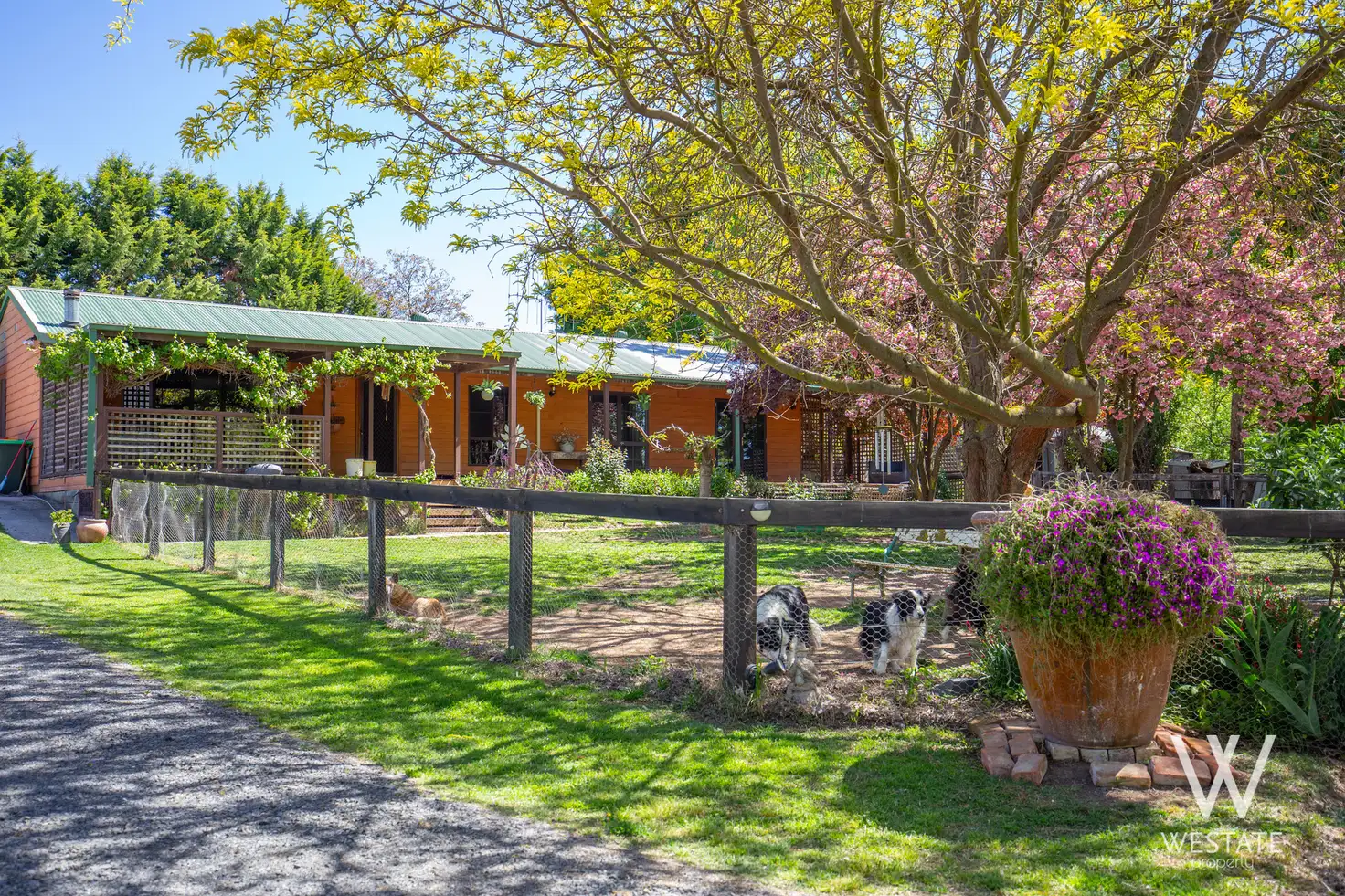 Main view of Homely rural property listing, 13a Macquarie Street, West Bathurst NSW 2795
