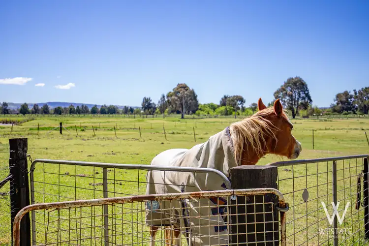 Fifth view of Homely rural property listing, 13a Macquarie Street, West Bathurst NSW 2795