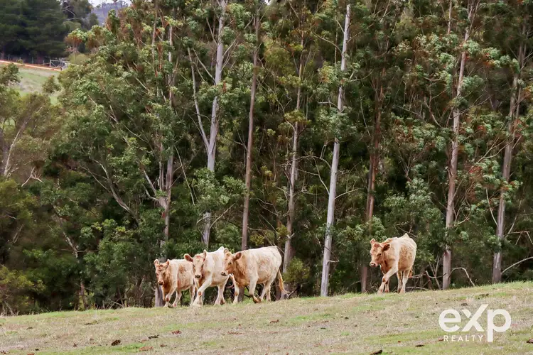 Seventh view of Homely rural property listing, Proposed Lot 3, 28 Pratt Road, Bridgetown WA 6255