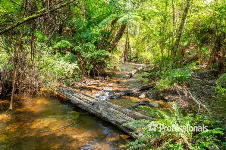 Fourth view of Homely house listing, 53 Fisherman Drive, Reefton VIC 3799
