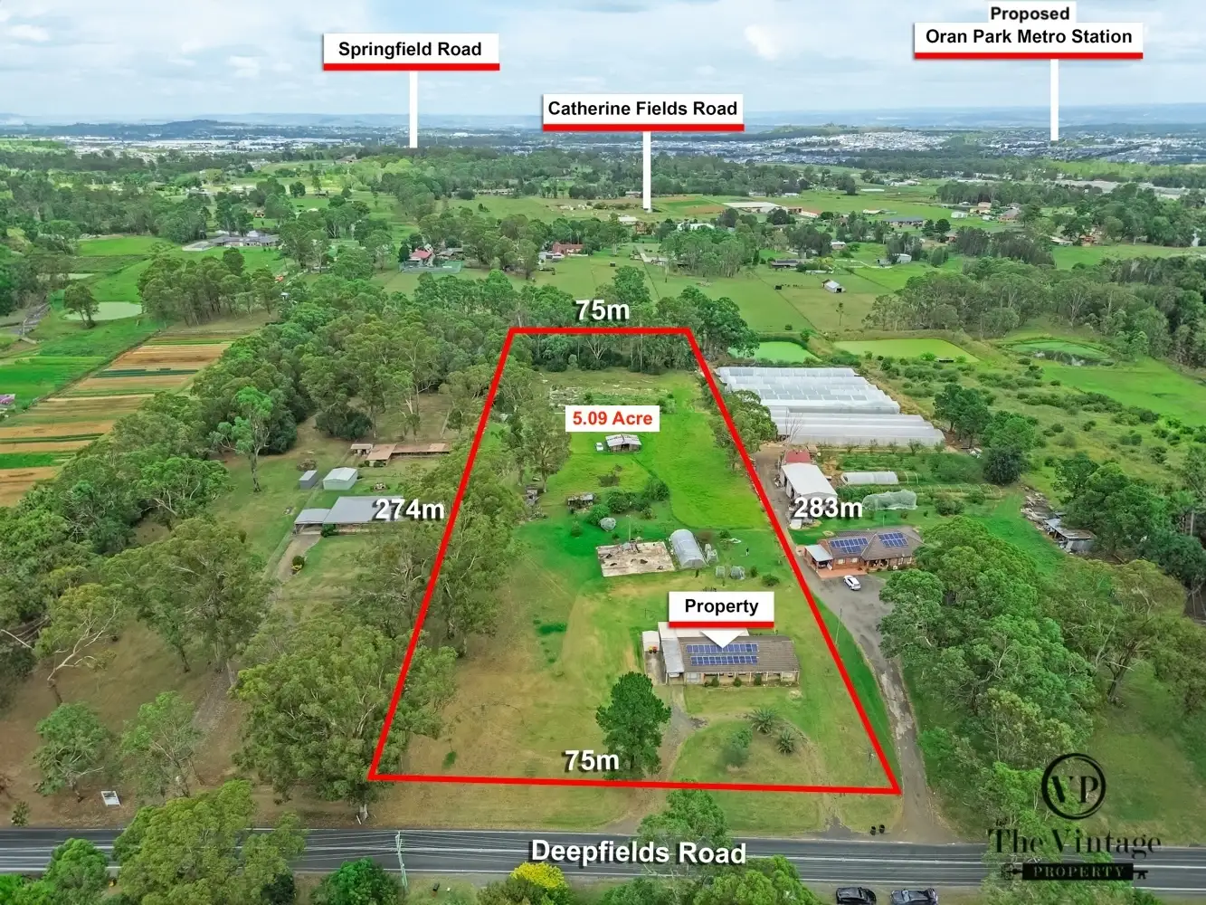 Main view of Homely house listing, 55 Deepfields Road, Catherine Field NSW 2557