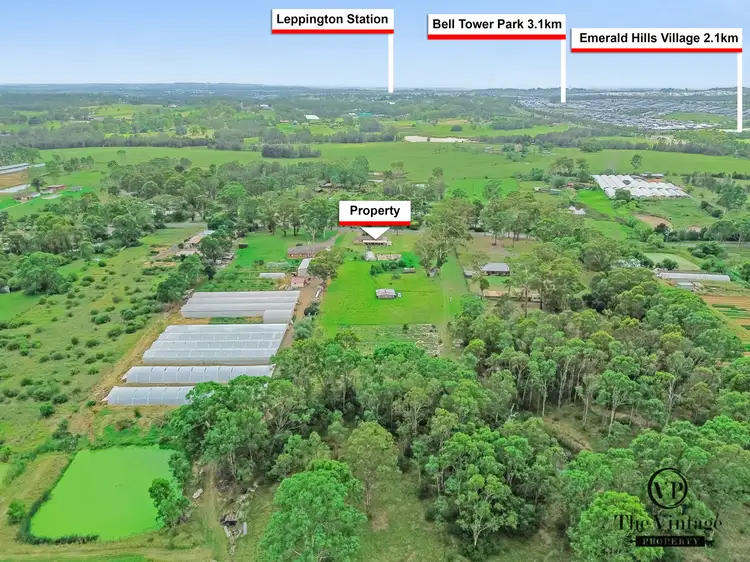 Fifth view of Homely house listing, 55 Deepfields Road, Catherine Field NSW 2557