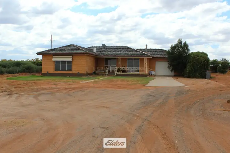 Main view of Homely house listing, 166 Brett Road, Euston NSW 2737