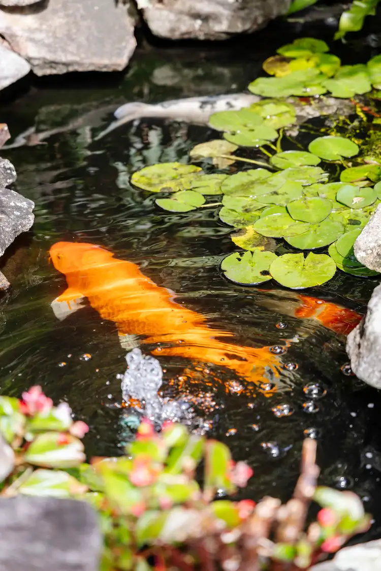 Sixth view of Homely house listing, 23 Sierra Road, Engadine NSW 2233