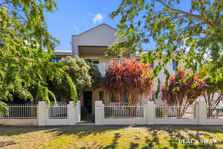 19 Cultivation Street, Harrison ACT 2914