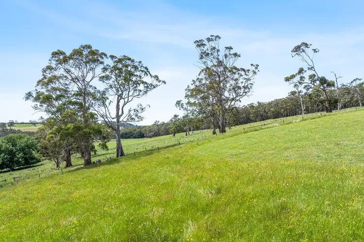 Fifth view of Homely rural property listing, Old Port Campbell Road, Jancourt VIC 3266