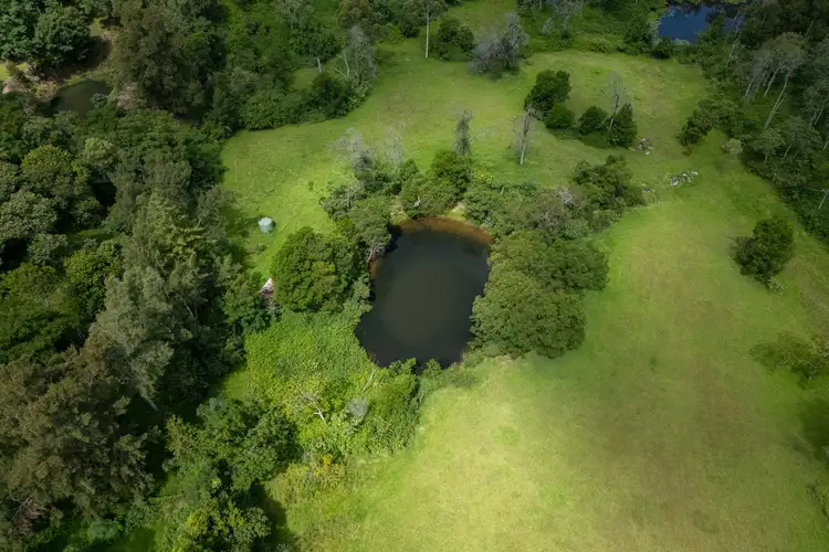 Sixth view of Homely rural property listing, 3 Serpentine Lane, Grose Vale NSW 2753