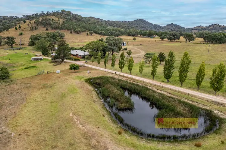 Main view of Homely rural property listing, 2099 Hill End Road, Mudgee NSW 2850