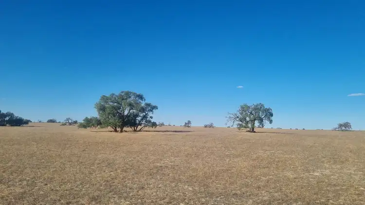 Sixth view of Homely rural property listing, 10054 Dawson Touche Road, Carnamah WA 6517