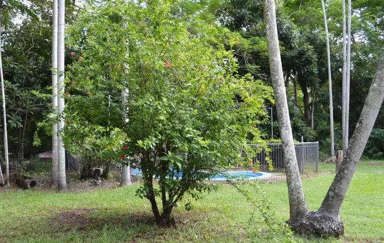 Fourth view of Homely house listing, 15 Mardango Crescent, Batchelor NT 845