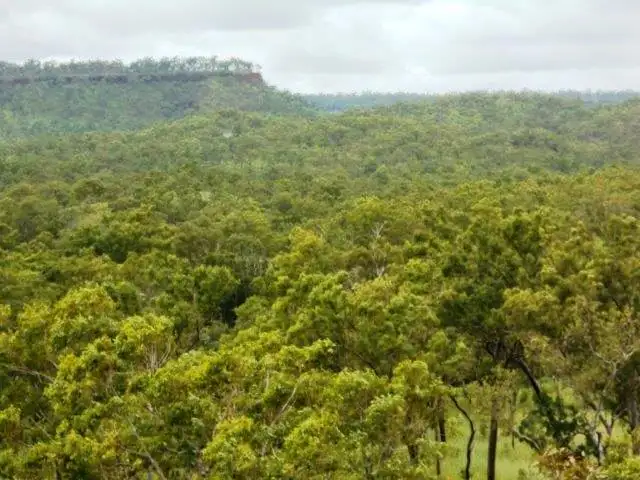 Fifth view of Homely rural property listing, 2700 Dorat Road, Robin Falls NT 822