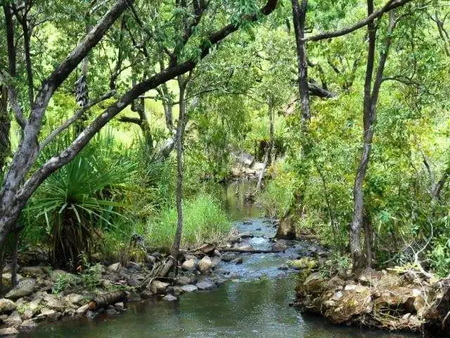 Sixth view of Homely rural property listing, 2700 Dorat Road, Robin Falls NT 822