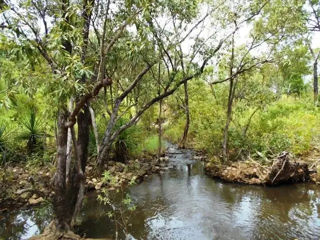 Seventh view of Homely rural property listing, 2700 Dorat Road, Robin Falls NT 822