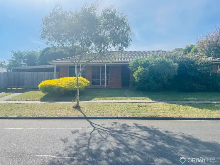 19 Helen Street, Drouin VIC 3818