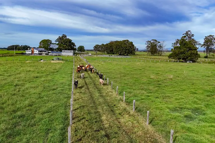 Fourth view of Homely rural property listing, 1649 Macleay Valley Way, Clybucca NSW 2440