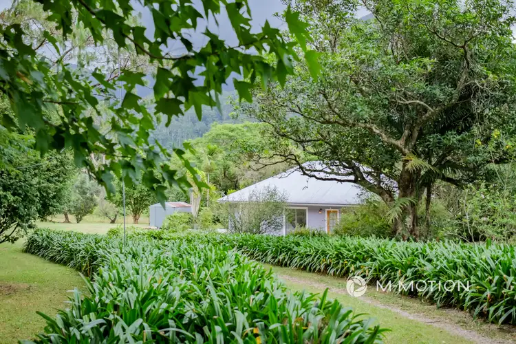 3294 Nerang Murwillumbah Road, Natural Bridge QLD 4211