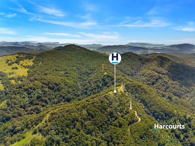 815 Goorangoola Creek Road, Goorangoola NSW 2330