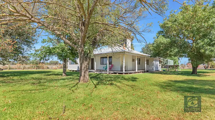 Main view of Homely house listing, 1520 Simmie Road, Strathallan, Echuca VIC 3564