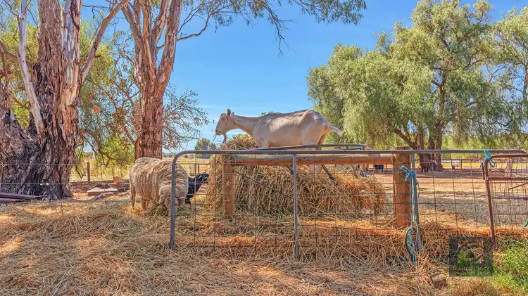 Second view of Homely house listing, 1520 Simmie Road, Strathallan, Echuca VIC 3564