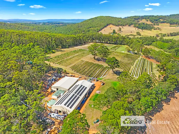 Second view of Homely rural property listing, 18 Hamilton Road, Scotsdale WA 6333