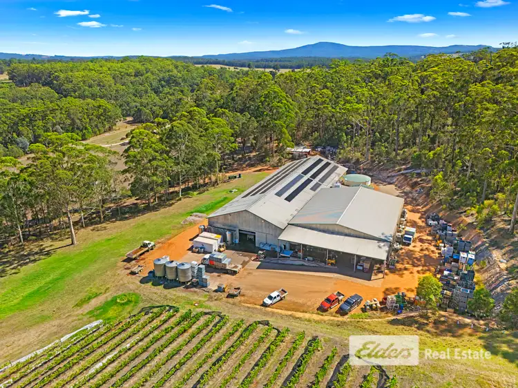 Fifth view of Homely rural property listing, 18 Hamilton Road, Scotsdale WA 6333