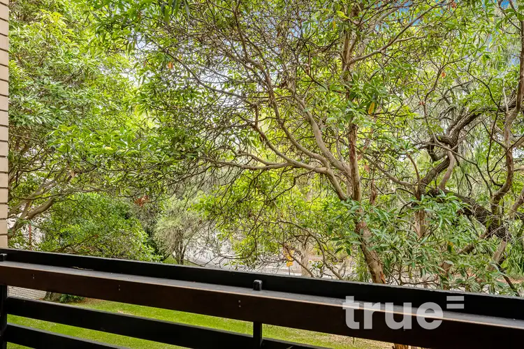 Sixth view of Homely apartment listing, 15/1-3 Corby Avenue, Concord NSW 2137